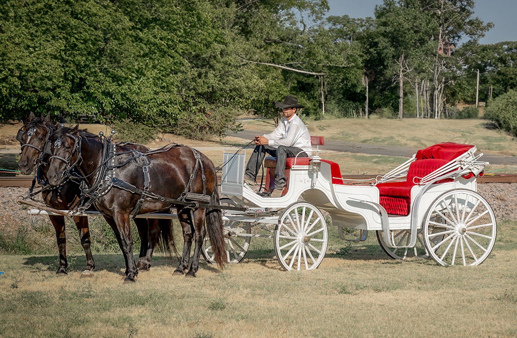 2 Horse Carriage